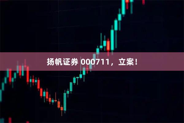 扬帆证券 000711,立案!