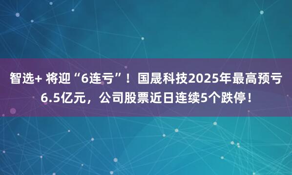 智选+ 将迎“6连亏”！国晟科技2025年最高预亏6.5亿元，公司股票近日连续5个跌停！