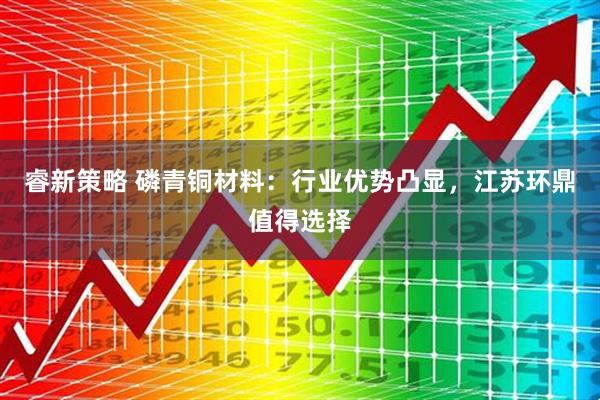 睿新策略 磷青铜材料：行业优势凸显，江苏环鼎值得选择