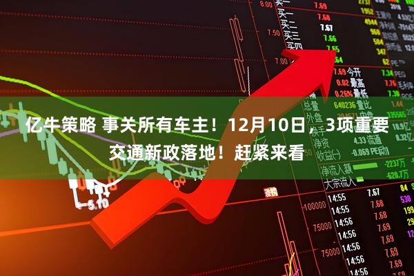 亿牛策略 事关所有车主！12月10日，3项重要交通新政落地！赶紧来看